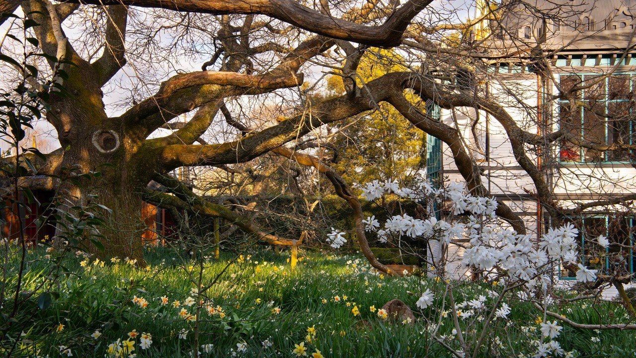 Photo of Outdoor in Daylesford