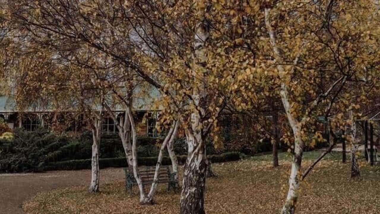 Photo of Others in Gardners Bay