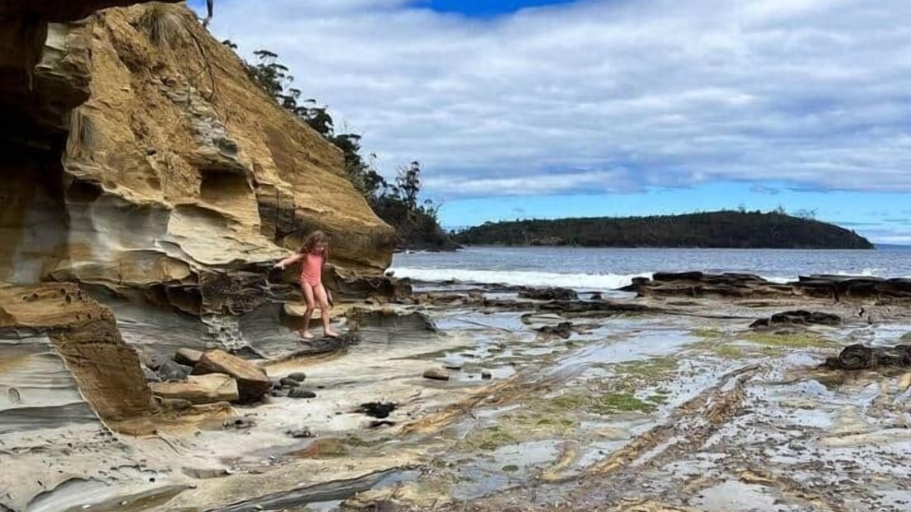 Photo of Others in Gardners Bay