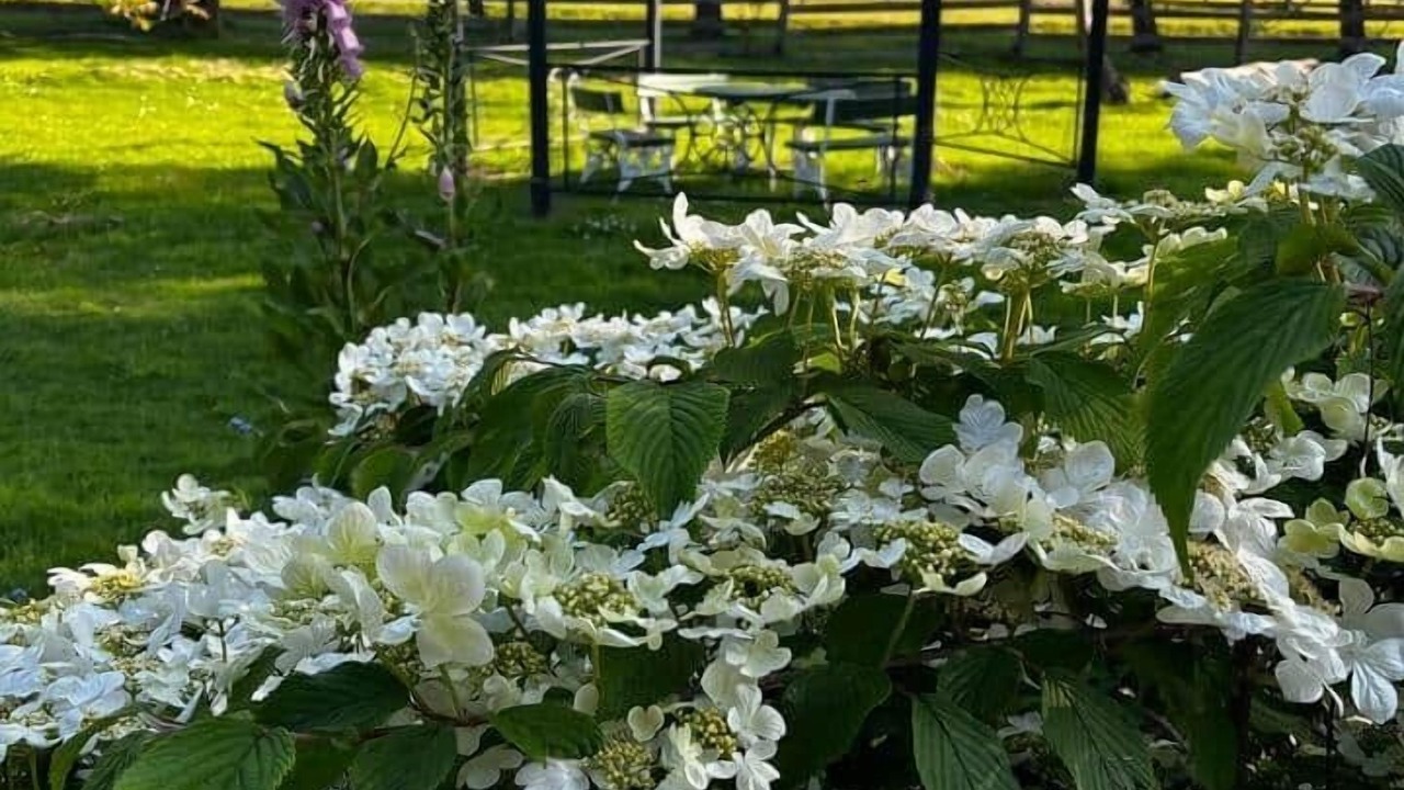Photo of Outdoor in Gardners Bay