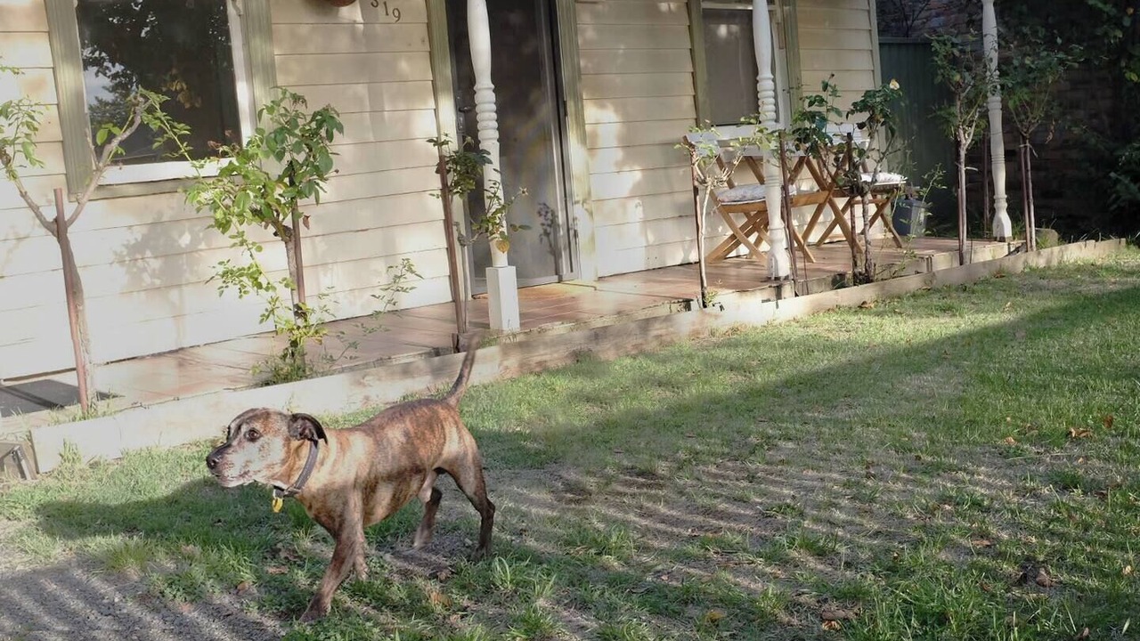 Photo of Outdoor in Ballarat