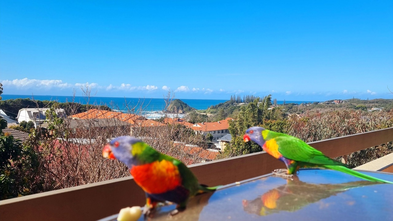 Photo of Others in Port Macquarie