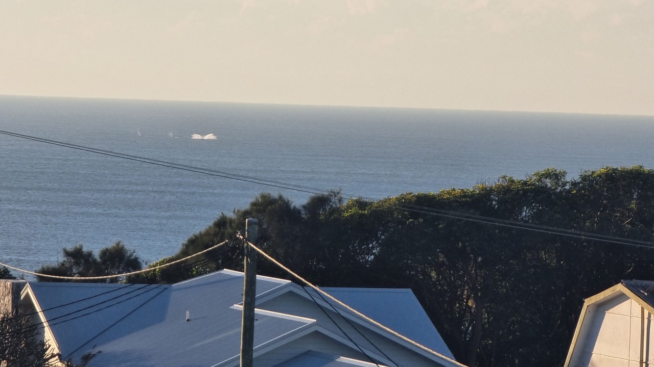 Photo of Others in Port Macquarie
