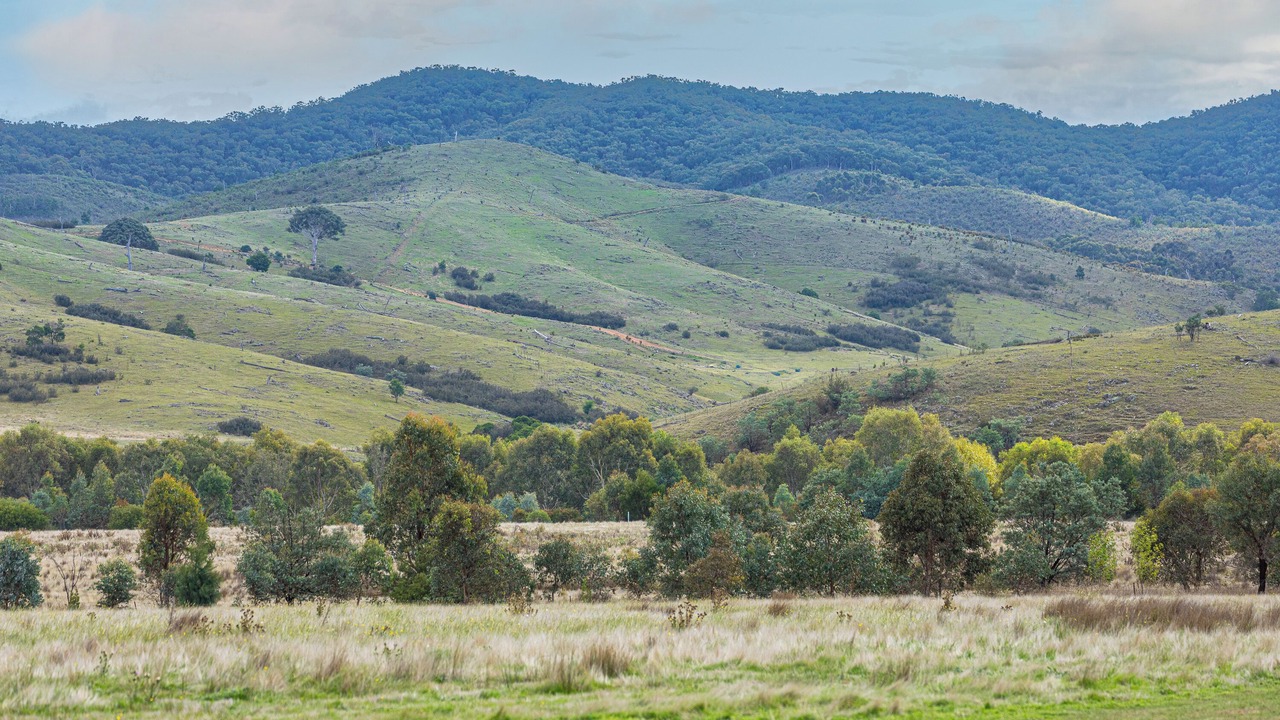 Photo of Others in Yass River