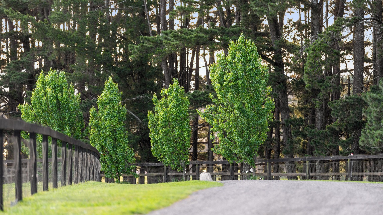 Photo of Outdoor in High Range