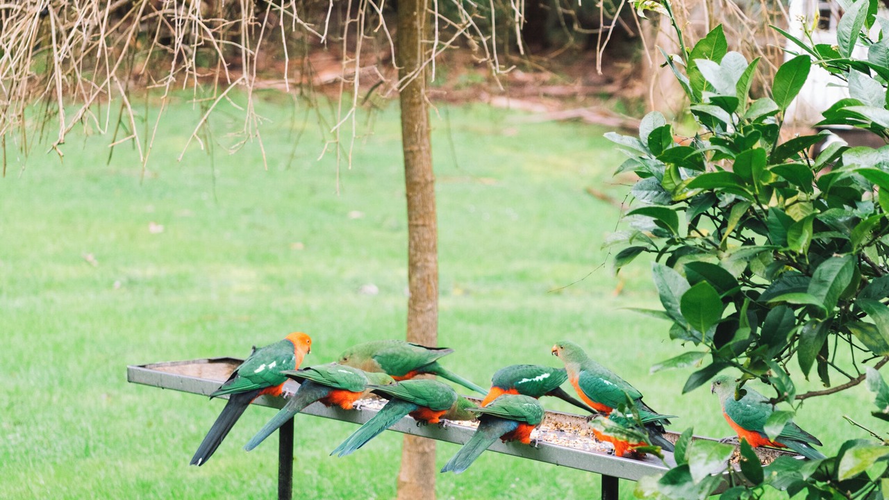 Photo of Outdoor in East Warburton