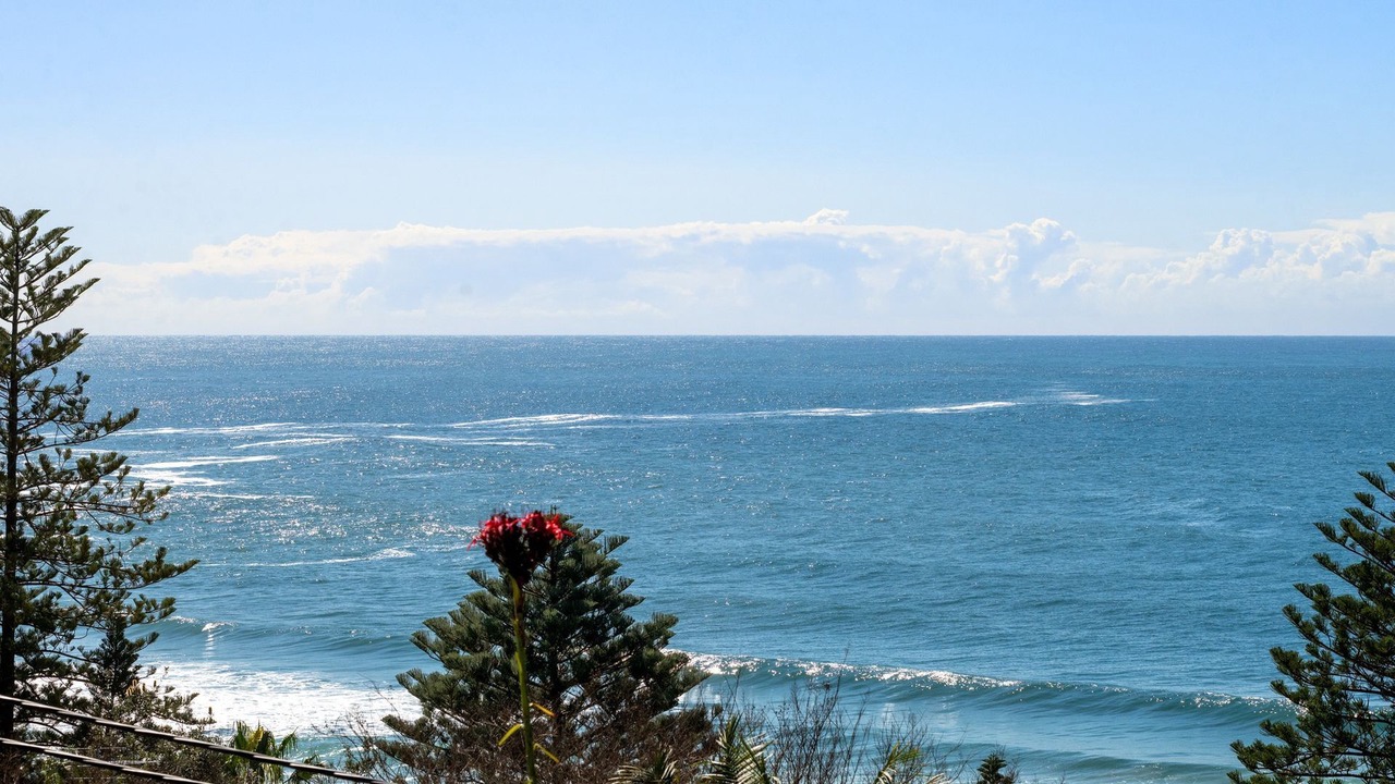 Photo of Others in Whale Beach