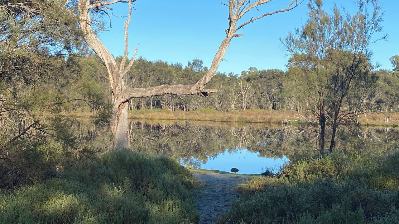 Photo of Others in Furnissdale