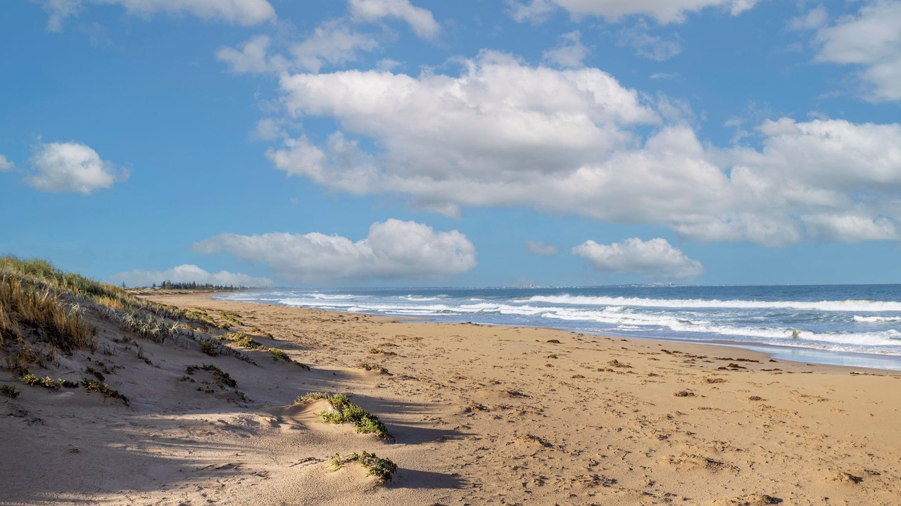 Photo of Others in Golden Bay