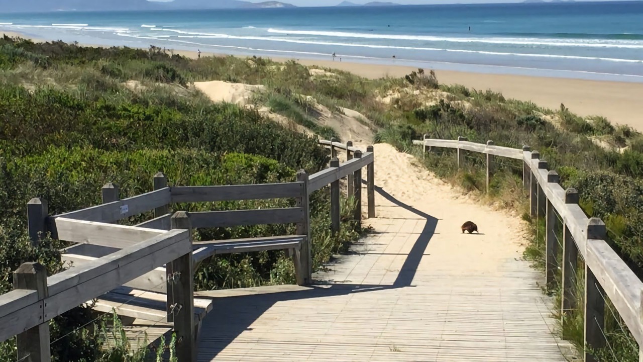 Photo of Others in Sandy Point