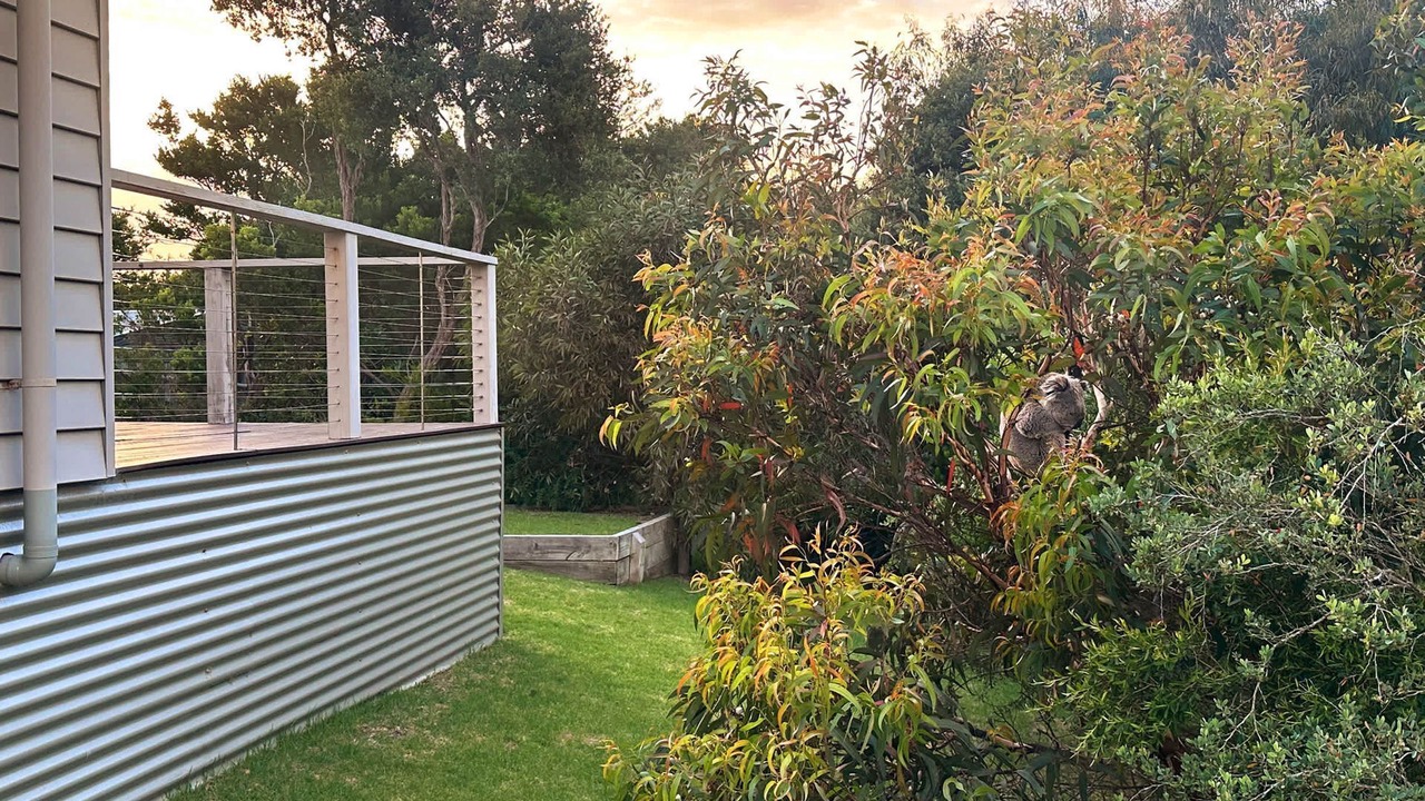 Photo of Outdoor in Sandy Point