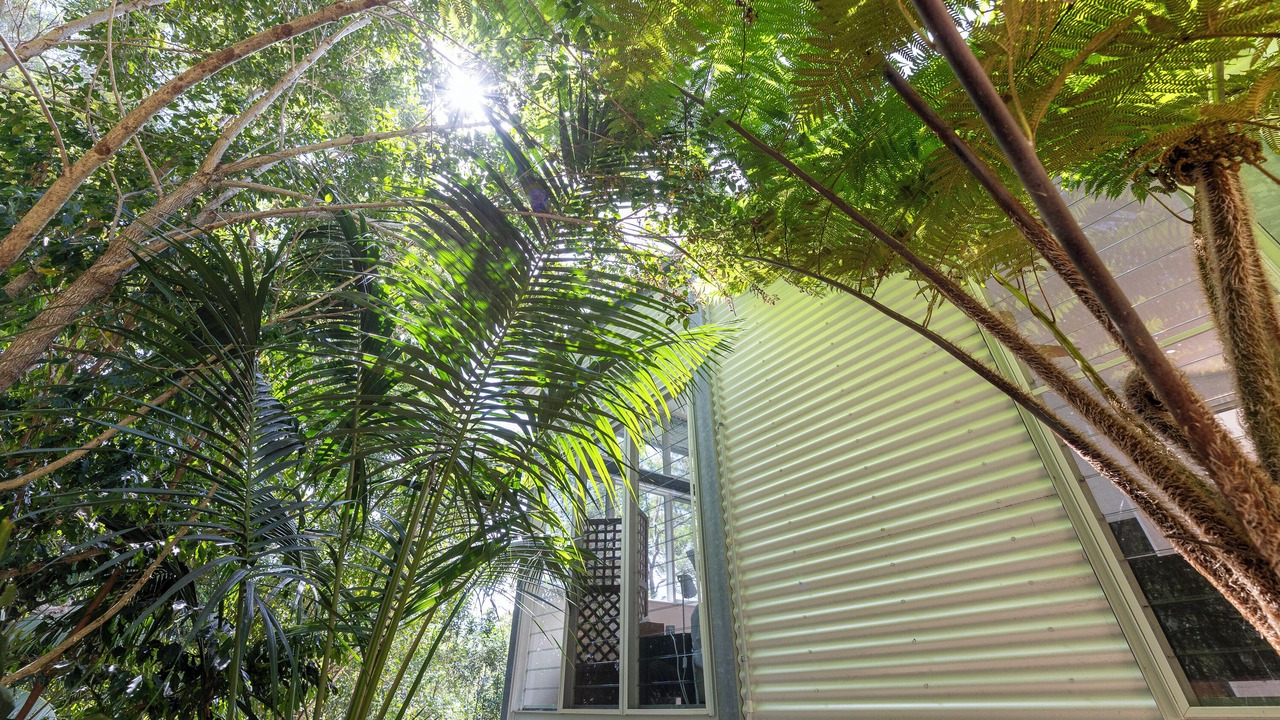 Photo of Outdoor in Killcare