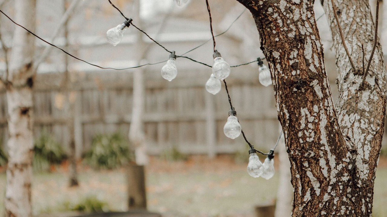 Photo of Outdoor in Trentham