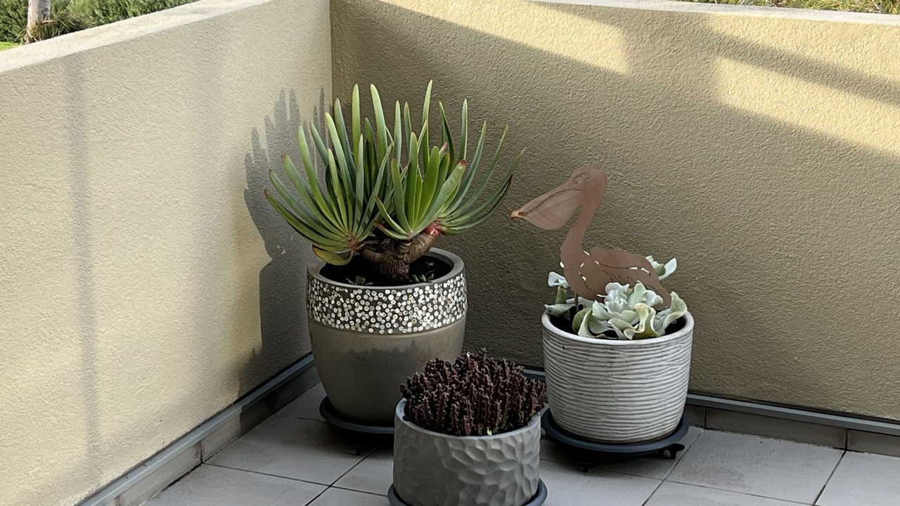 Photo of Outdoor in San Remo