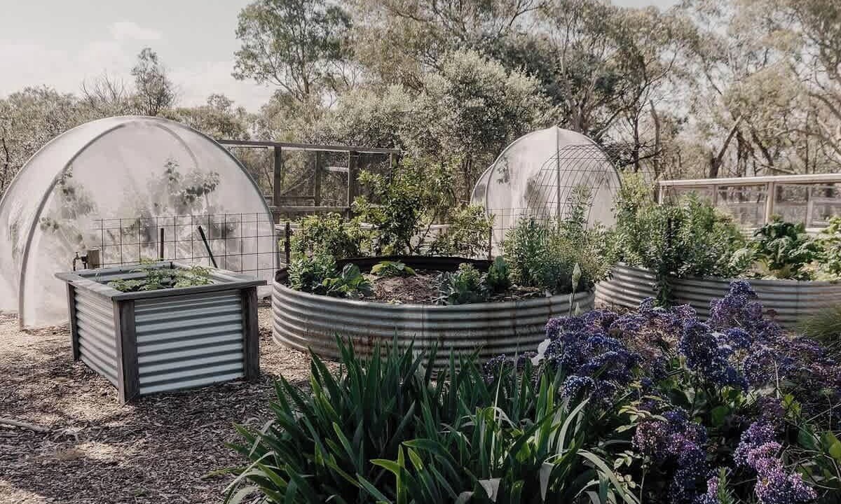 Photo of Outdoor in Smiths Gully