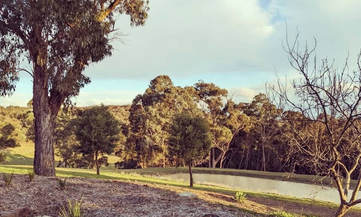 Photo of Outdoor in Smiths Gully