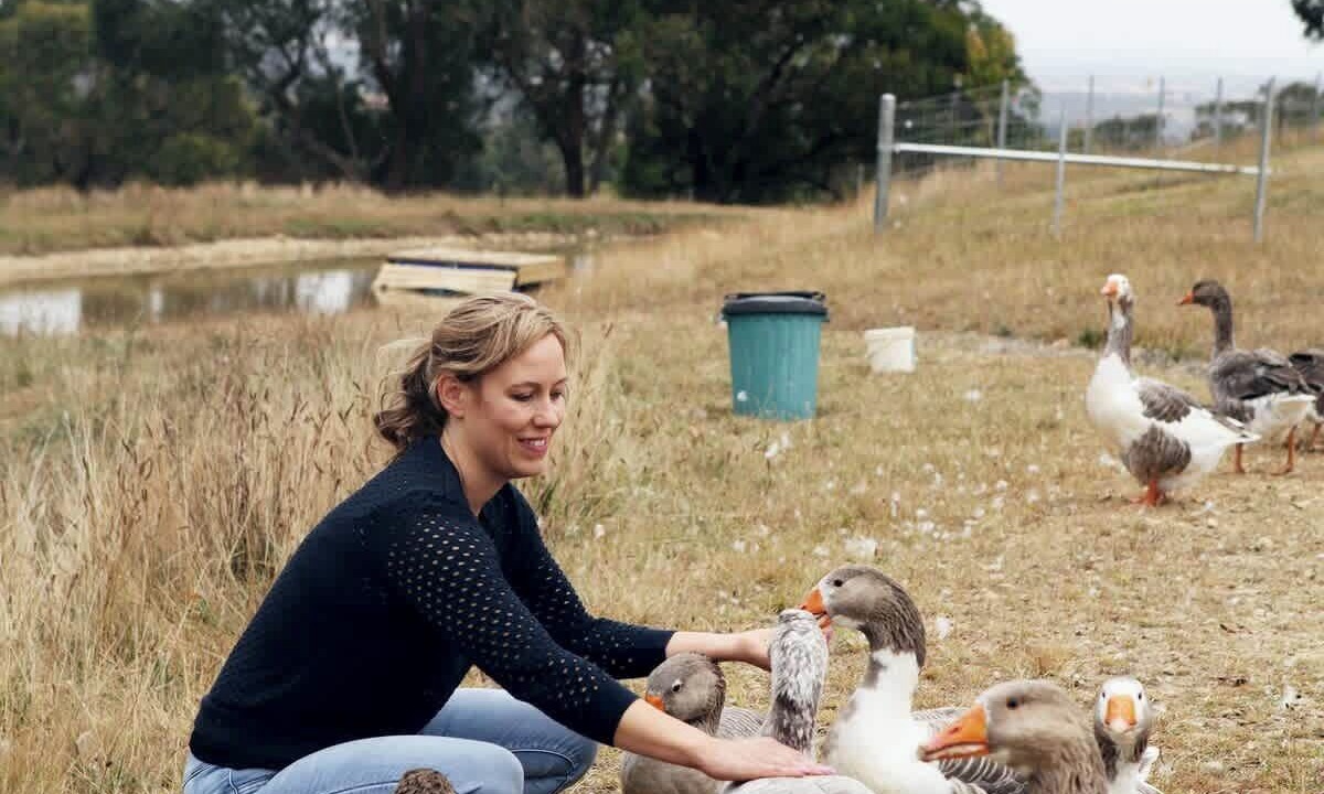 Photo of Others in Smiths Gully