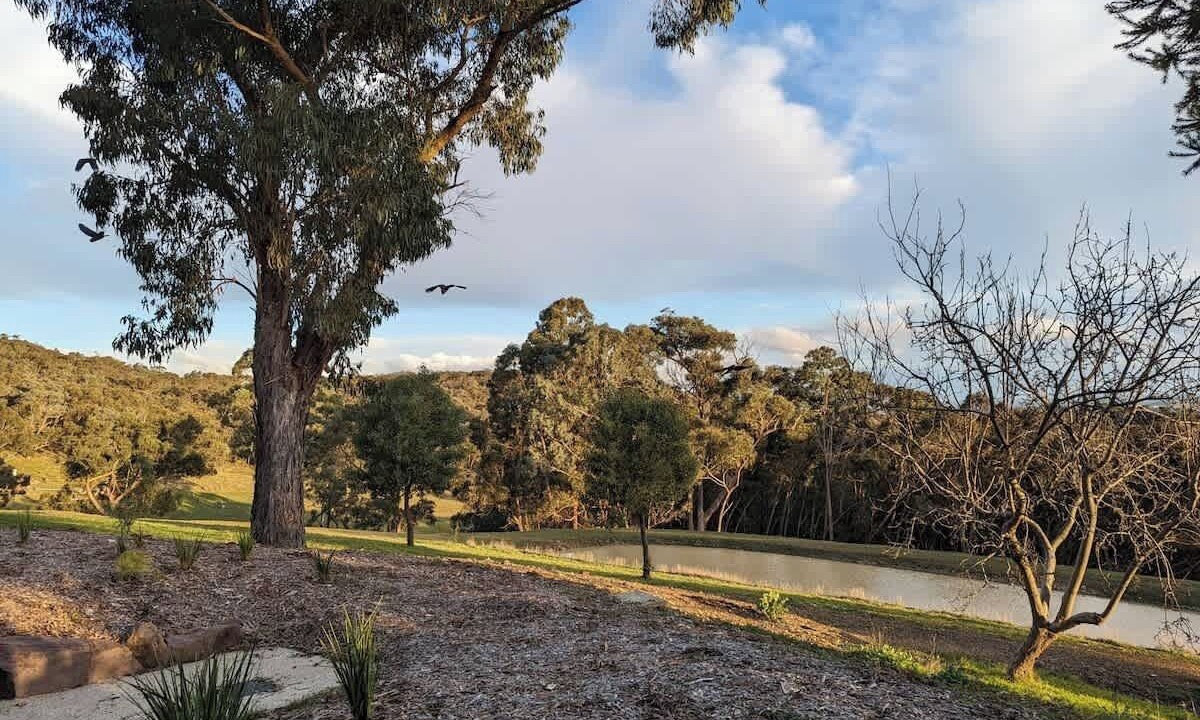 Photo of Others in Smiths Gully