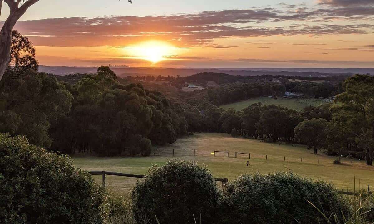 Photo of Others in Smiths Gully