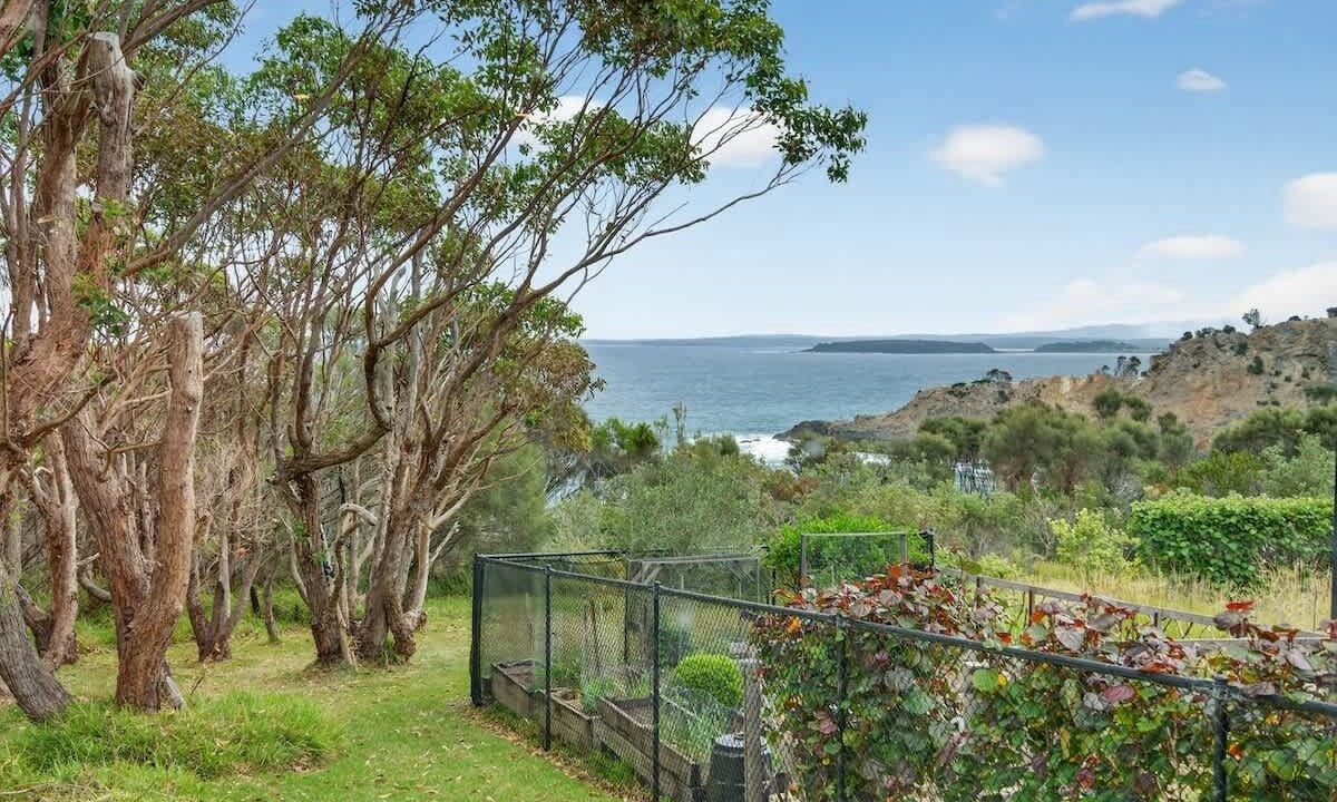Photo of Outdoor in Guerilla Bay