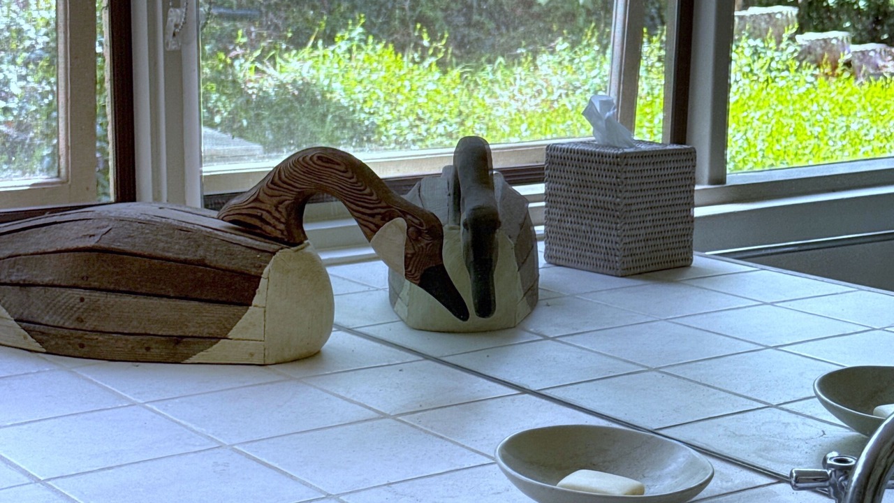 Photo of Bathroom in Foxground