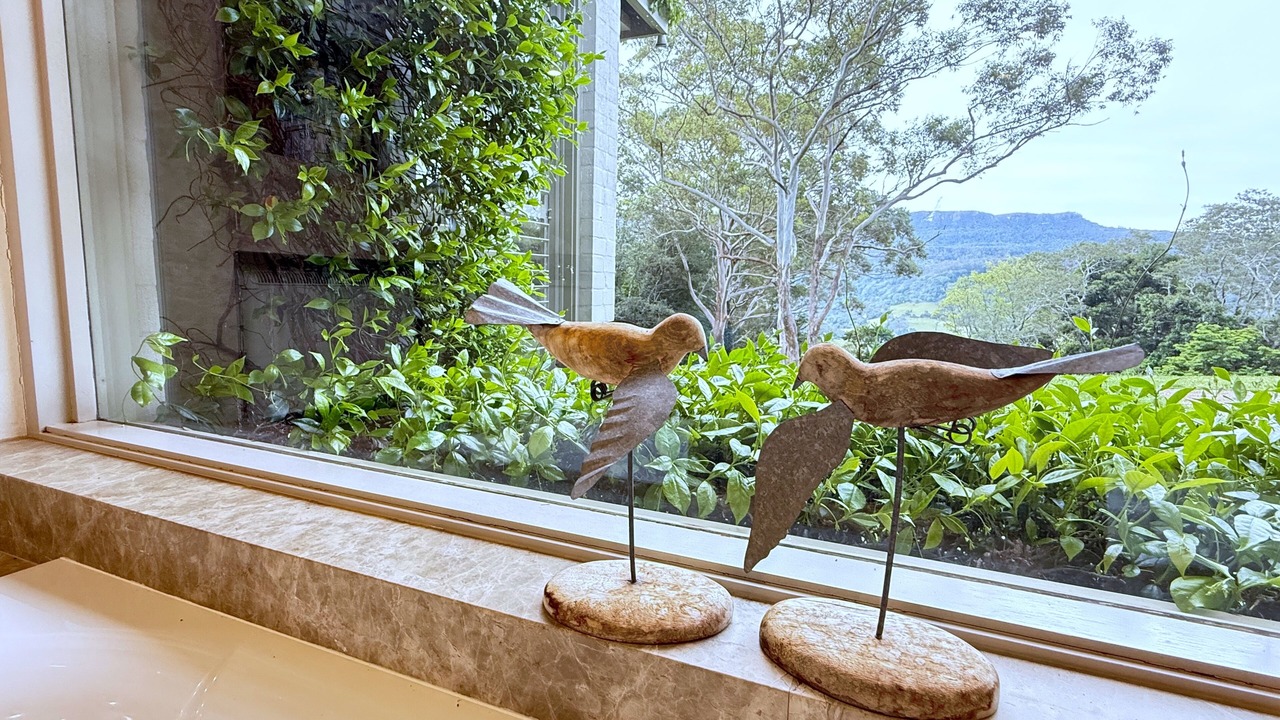 Photo of Others in Foxground