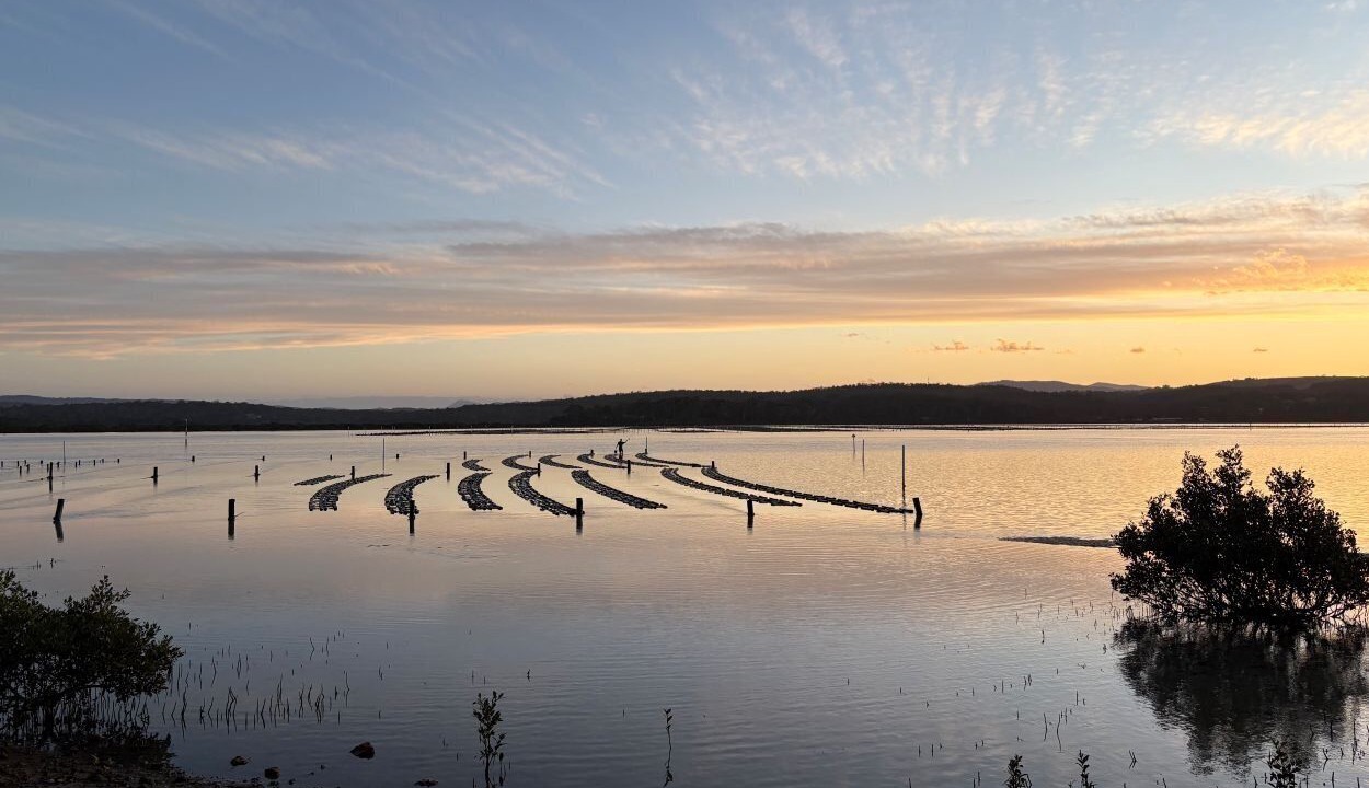 Photo of Others in Merimbula