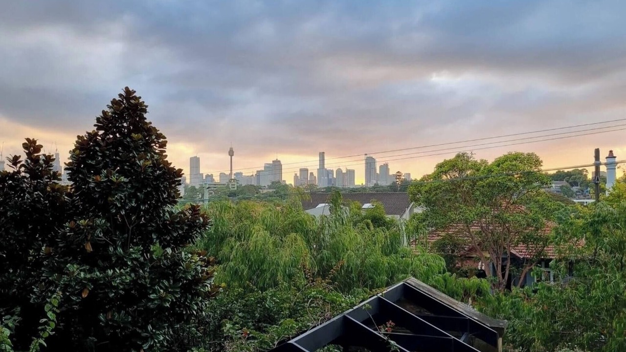 Photo of Outdoor in Annandale