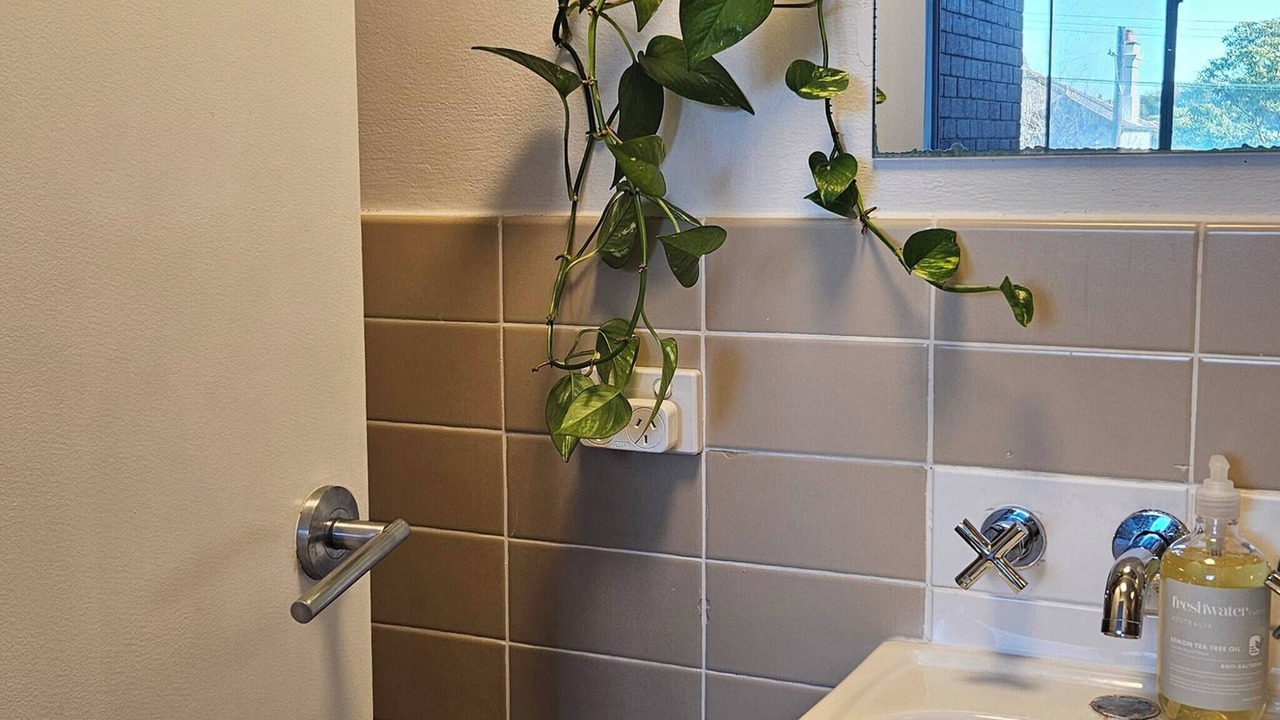 Photo of Bathroom in Annandale