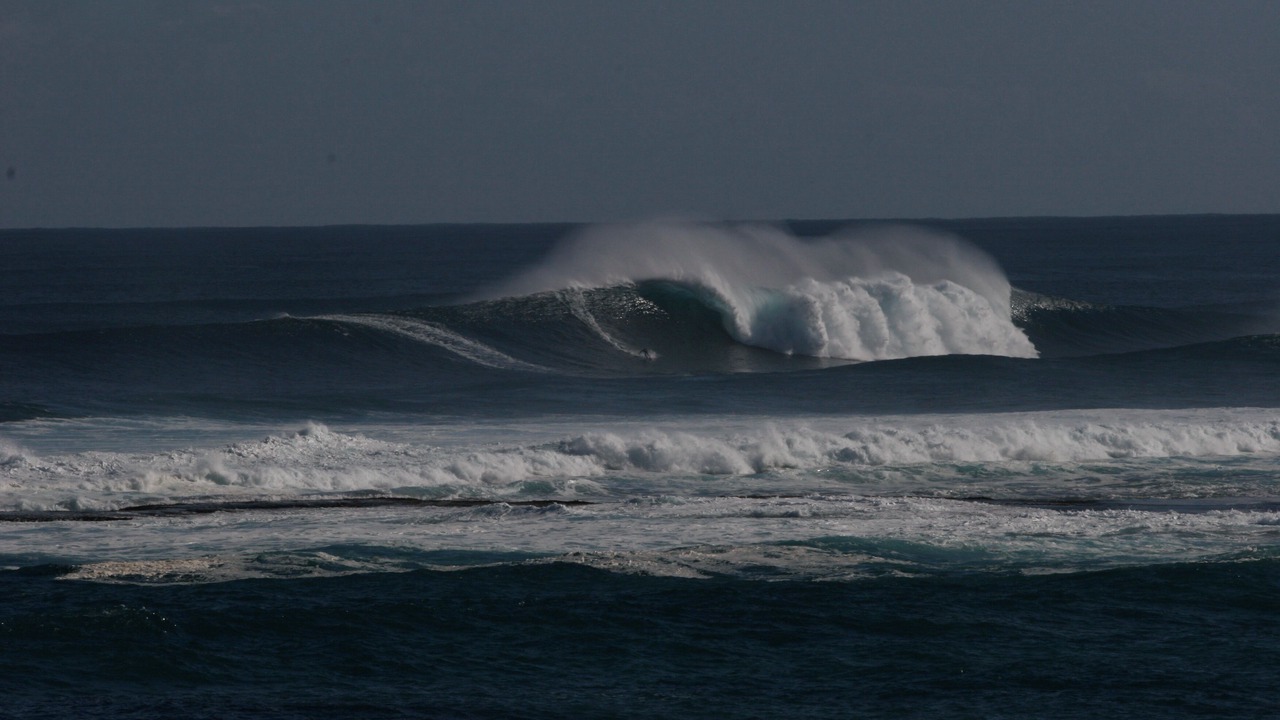 Photo of Others in Margaret River