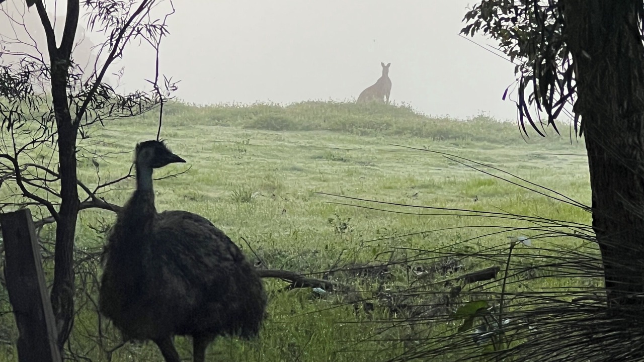 Photo of Others in Margaret River