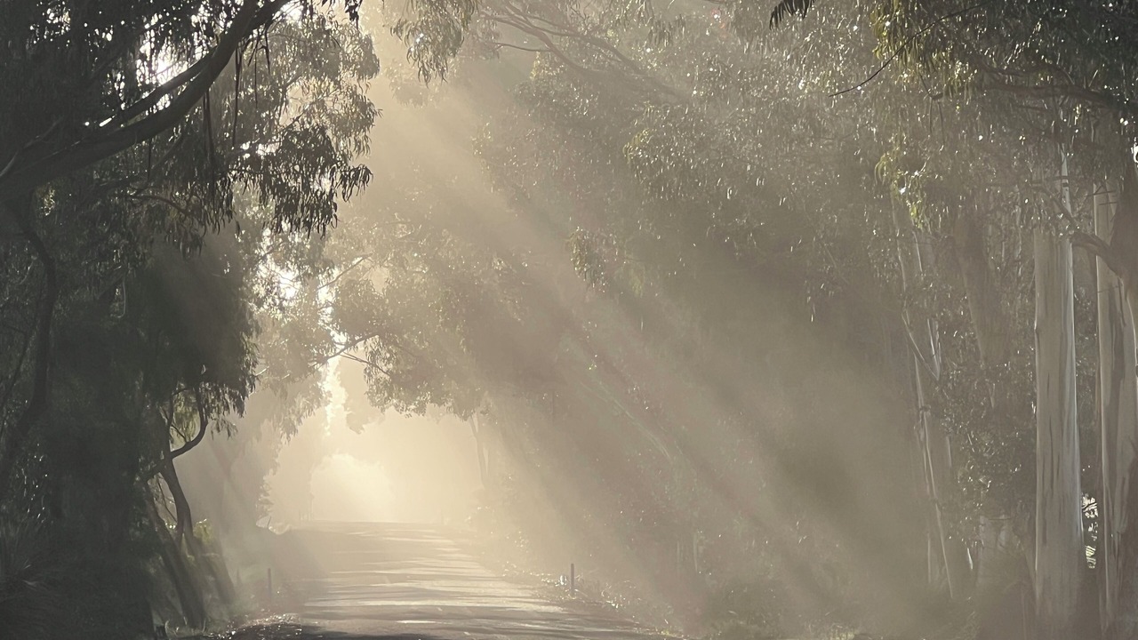 Photo of Others in Margaret River