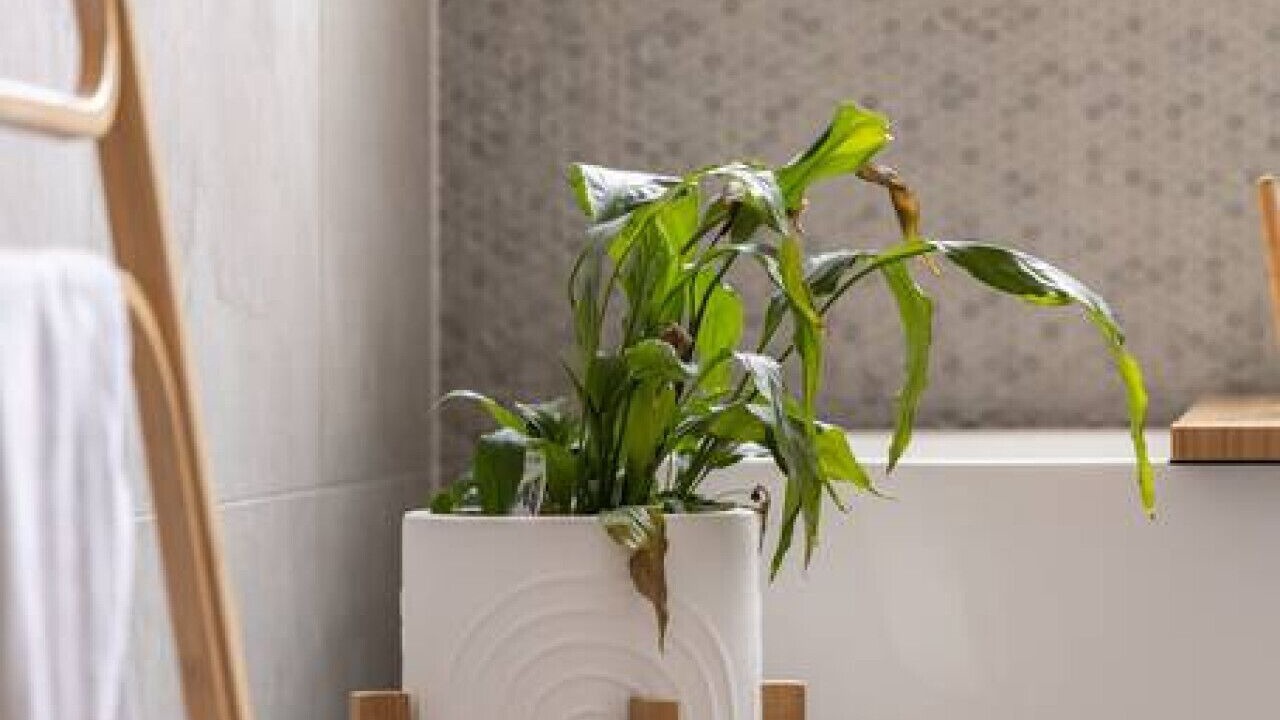 Photo of Bathroom in Torquay