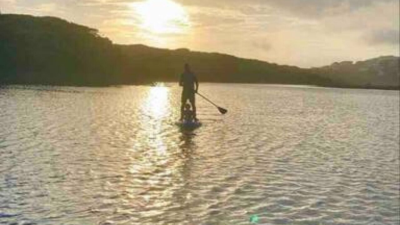 Photo of Others in Surf Coast