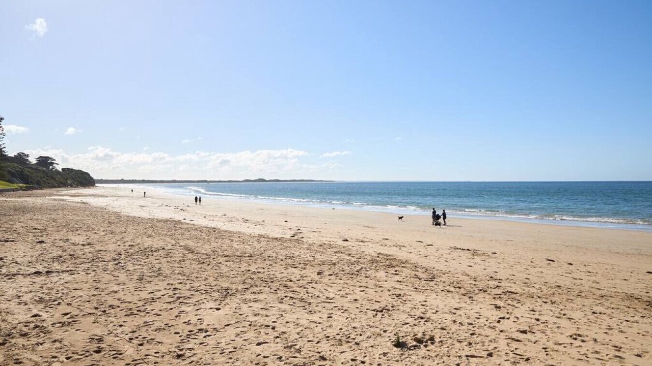 Photo of Others in Torquay