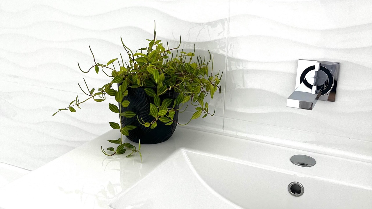 Photo of Bathroom in Kingston