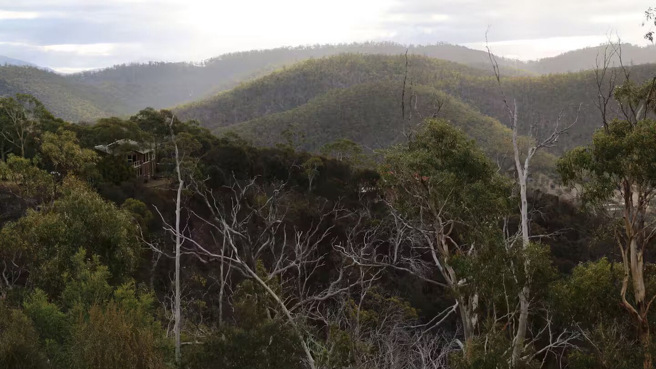 Photo of Others in Mount Rumney