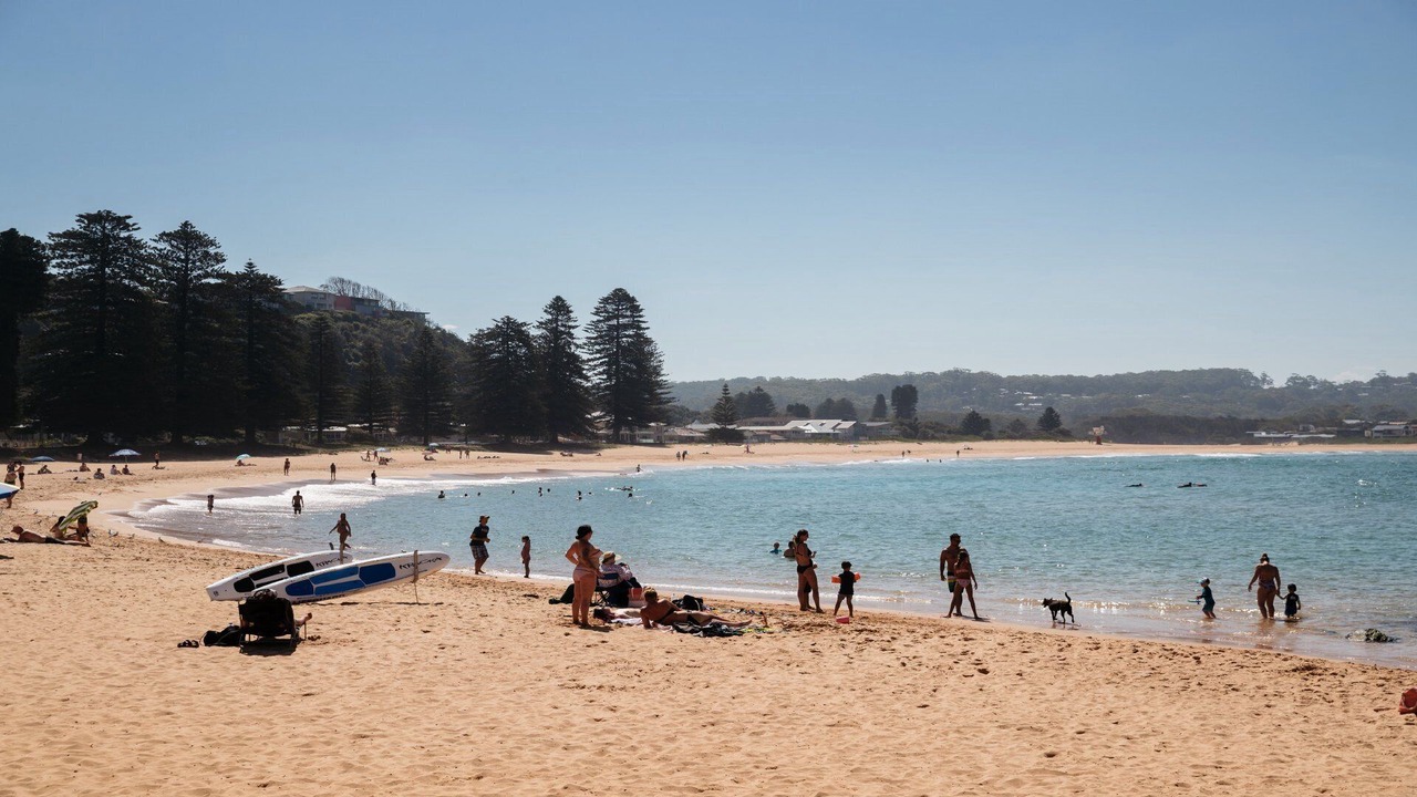 Photo of Others in Avoca Beach
