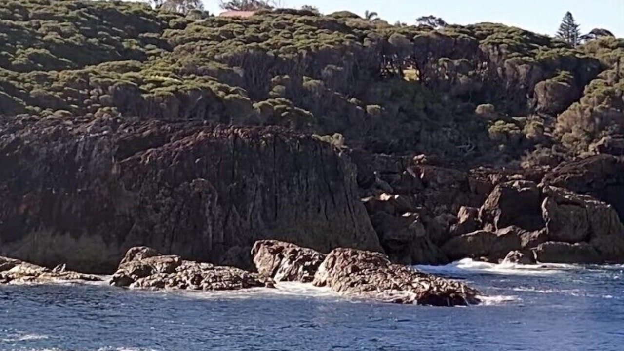 Photo of Others in Tathra