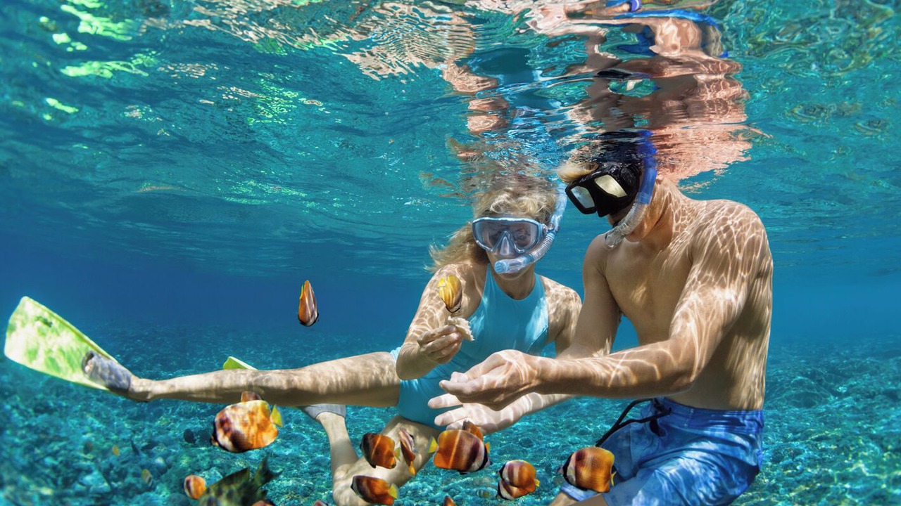 Photo of Others in Airlie Beach