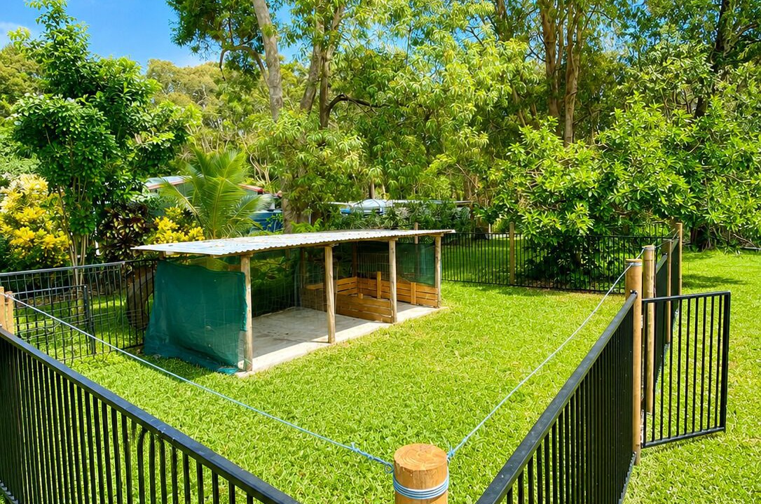 Photo of Outdoor in Wonga Beach