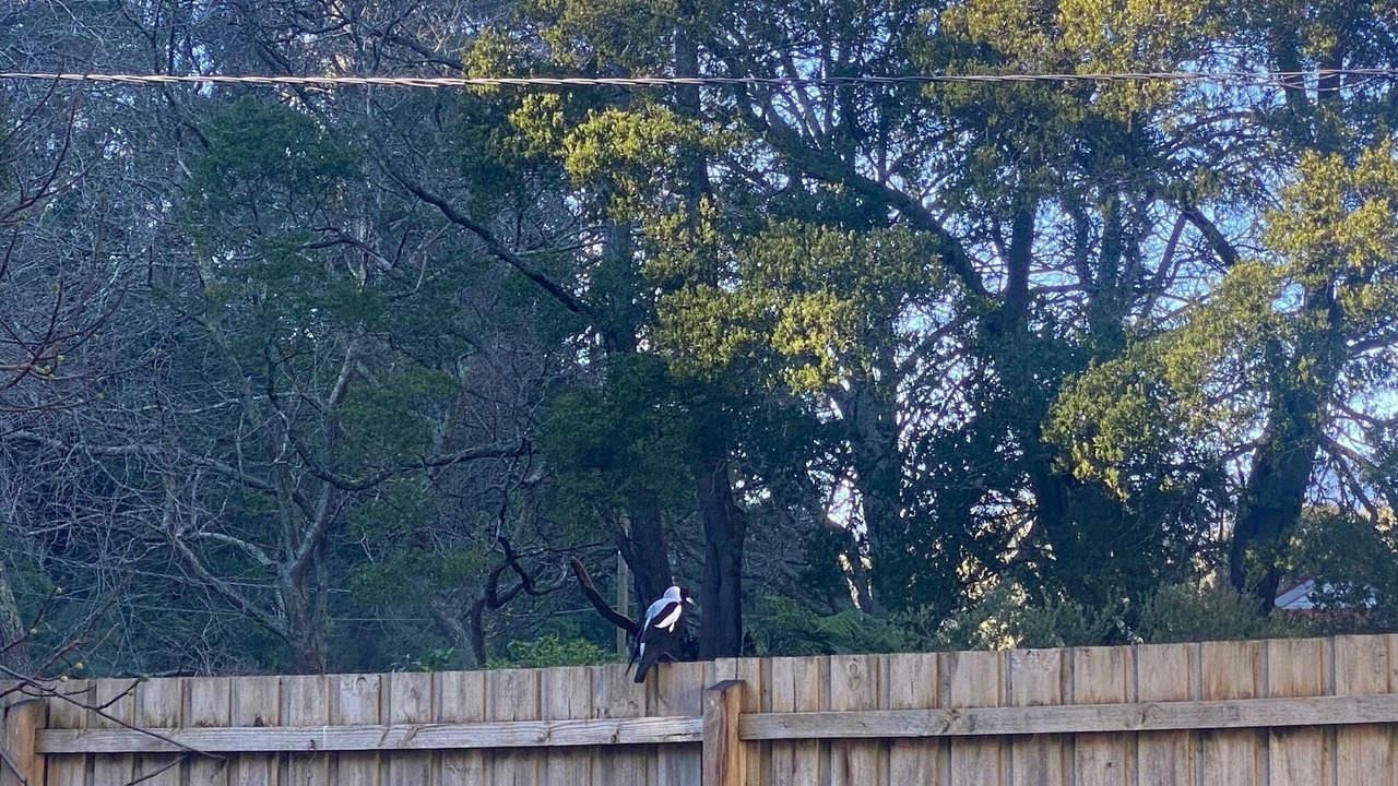 Photo of Others in East Warburton