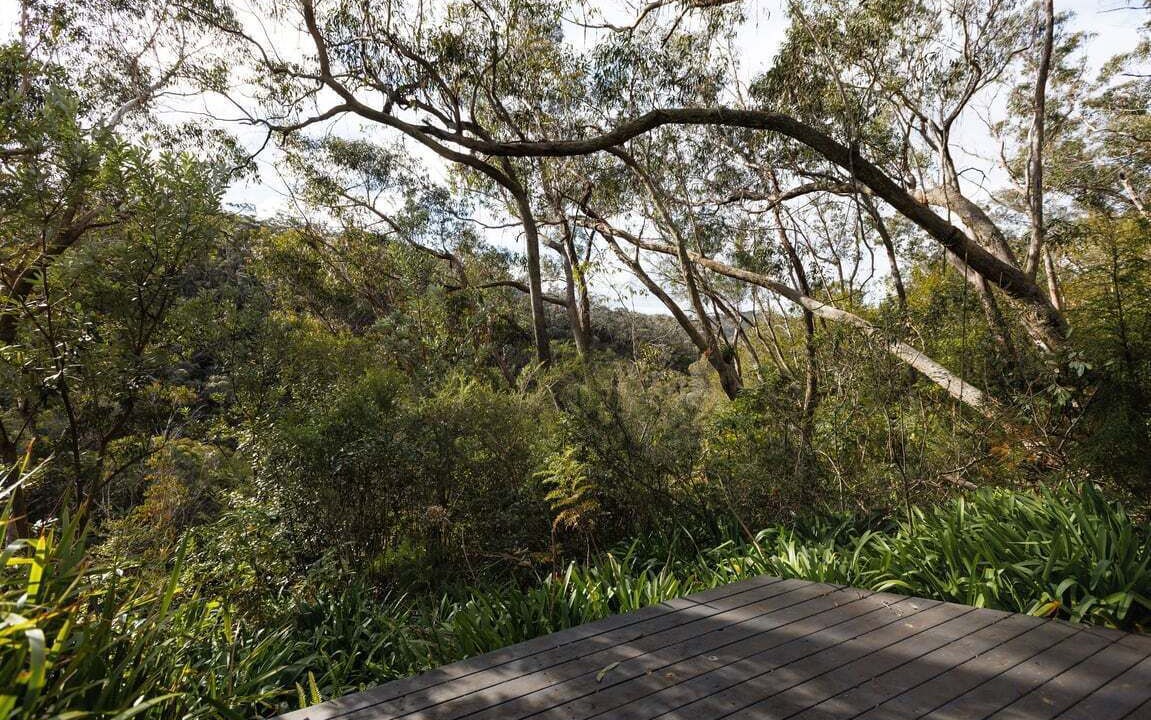 Photo of Outdoor in Leura