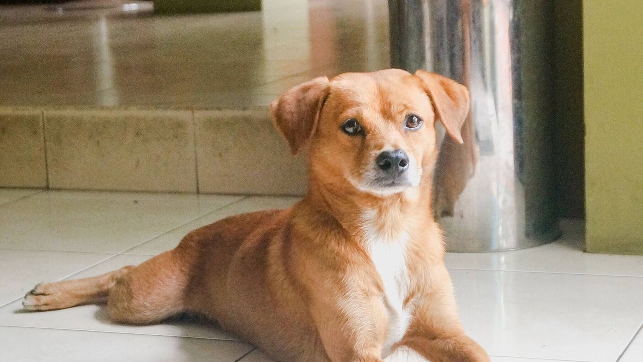 Photo of Others in Greenacre
