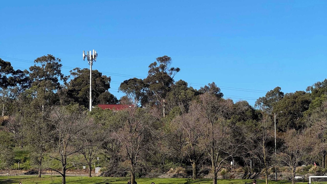 Photo of Others in Parkville