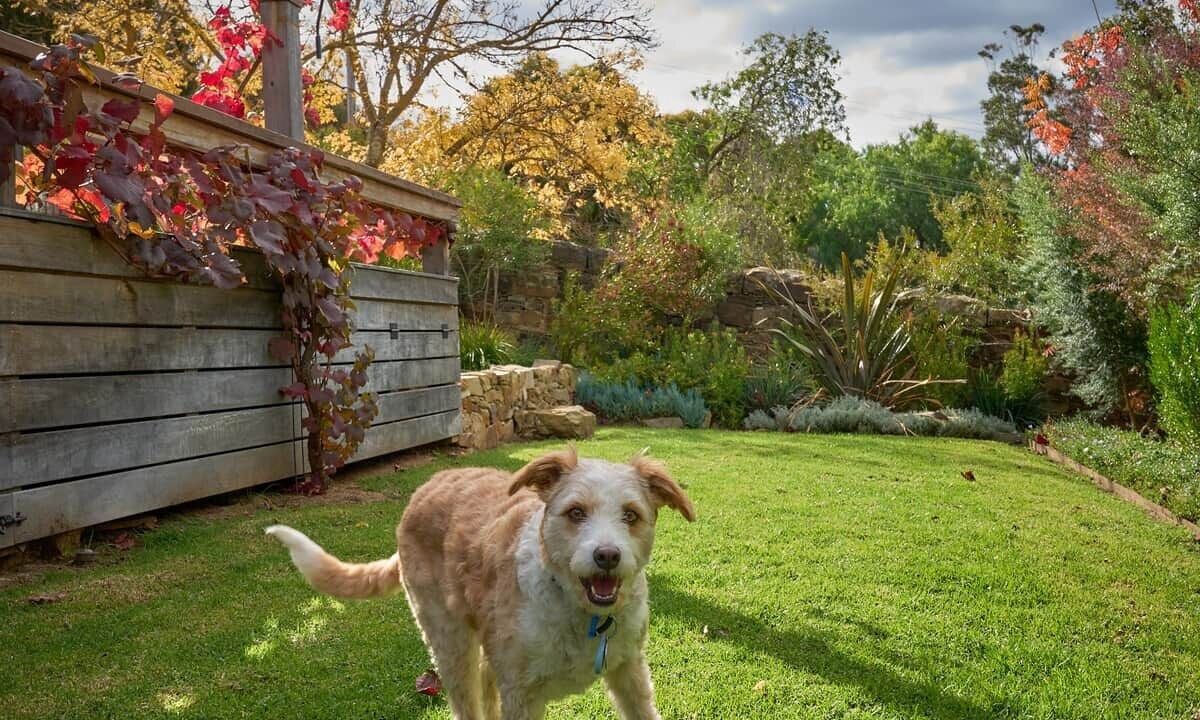 Photo of Outdoor in Castlemaine