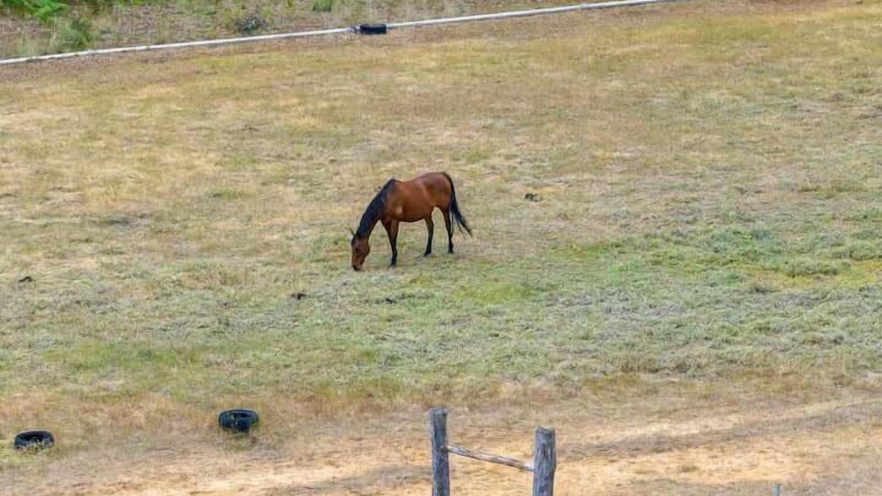 Photo of Others in Upper Warren