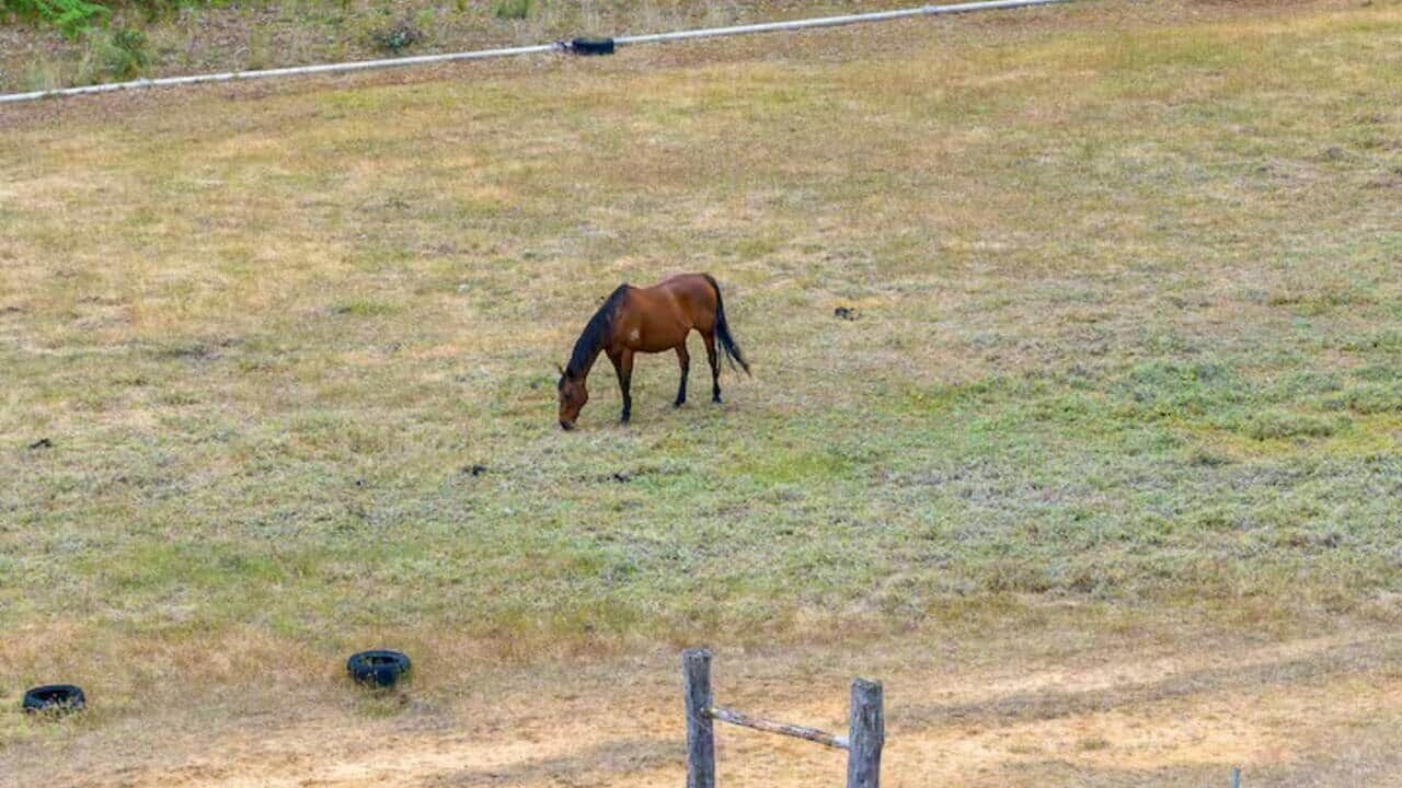 Photo of Others in Upper Warren