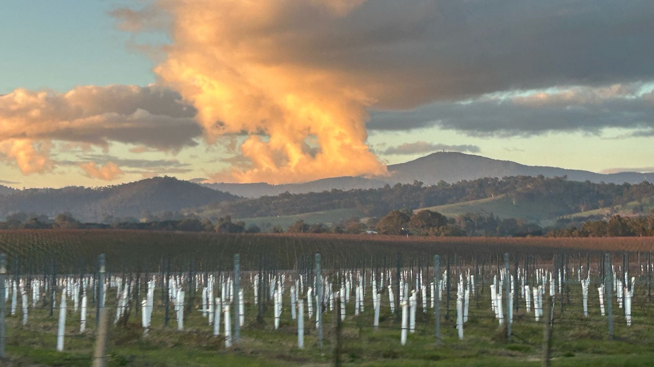Photo of Others in Healesville