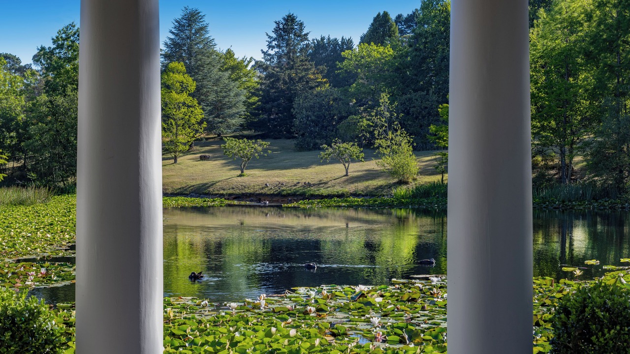 Photo of Outdoor in Wentworth Falls